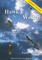 Book_HawkWatch_video