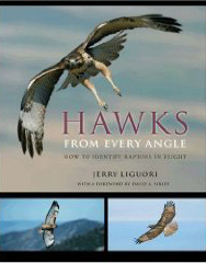 Book_HawksFromEveryAngle